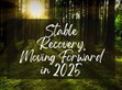 稳健复苏，2025向前行                                                                                                                                          